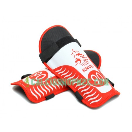 Paesi Bassi  Parastinchi